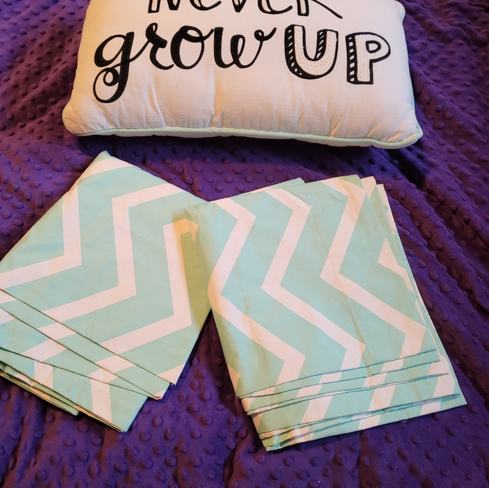 Pillow and Curtain Set